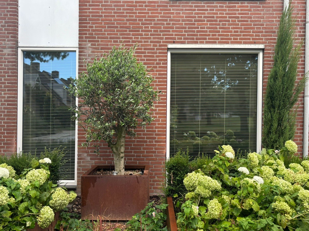 Kozijnen
